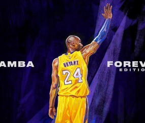 开云体育-京多安，在NBA总决赛之夜，一个足球巨星的生涯加冕